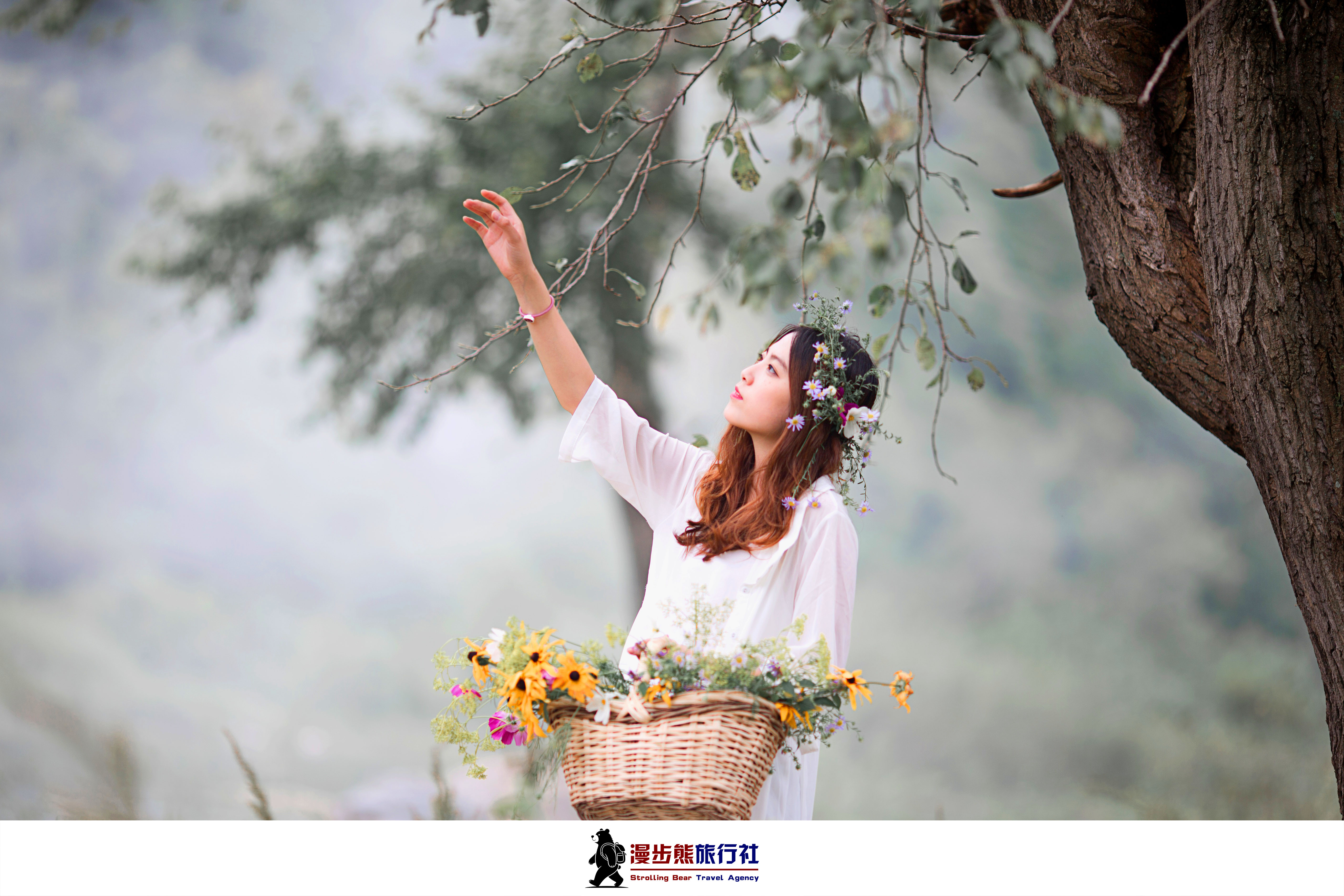 山河万里旅行：国内这